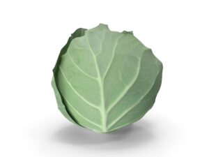 Egyptian Cabbage