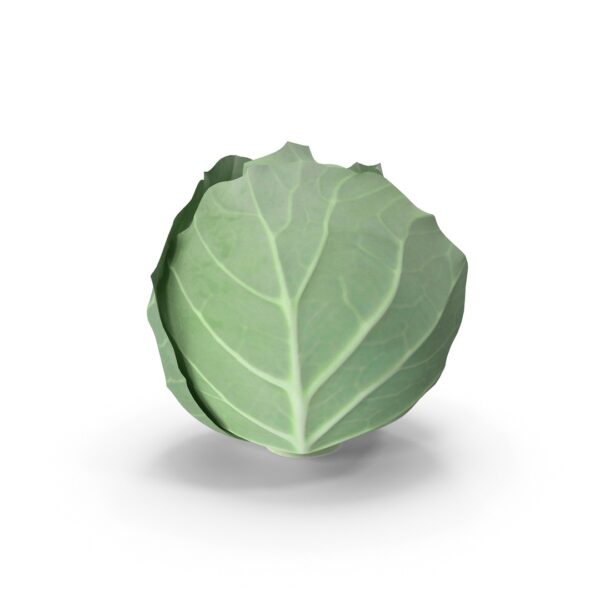Egyptian Cabbage