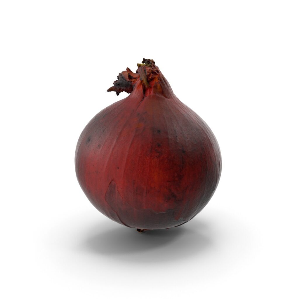 Onion