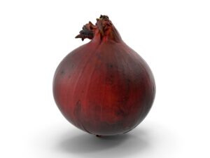 Onion