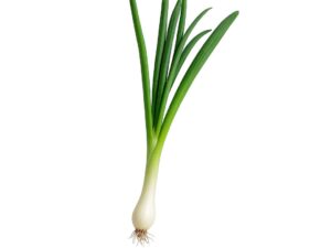 Spring onions