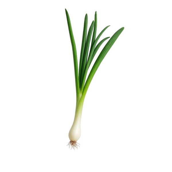 Spring onions