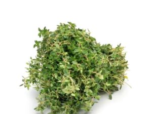 Thyme