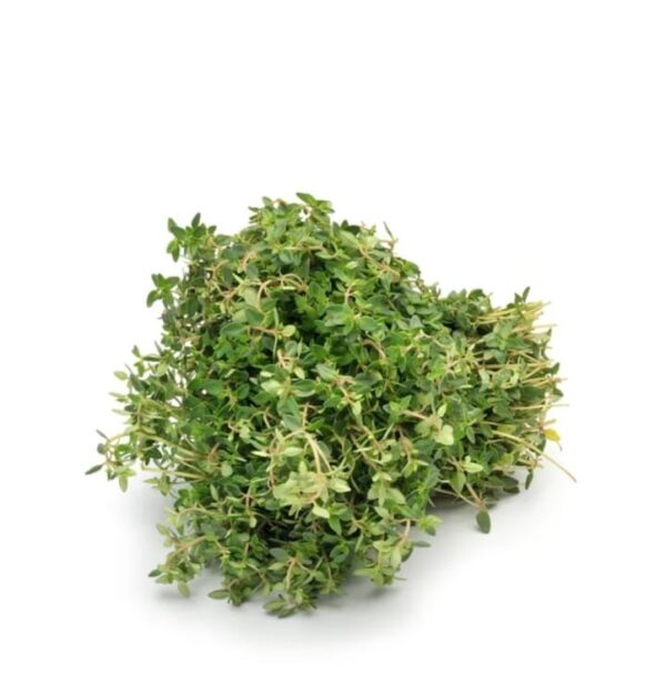 Thyme