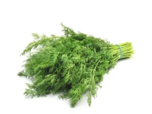 Dill