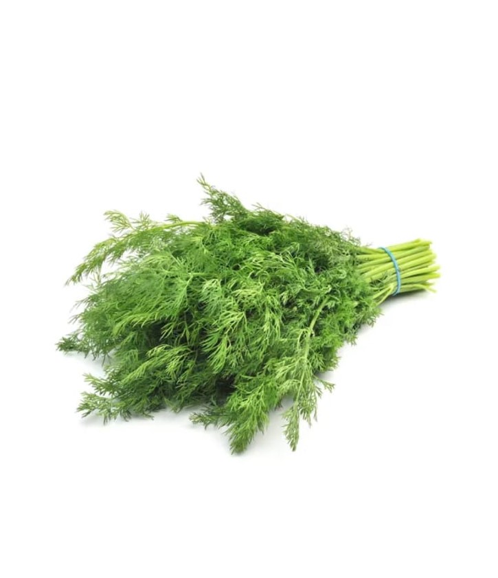 Dill