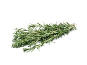 Rosemary