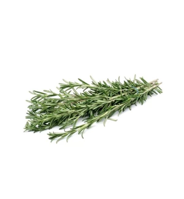 Rosemary