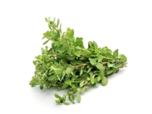 Marjoram