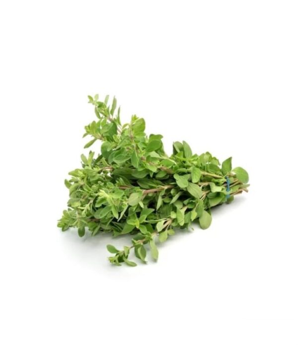 Marjoram