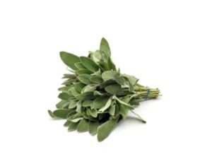 Sage