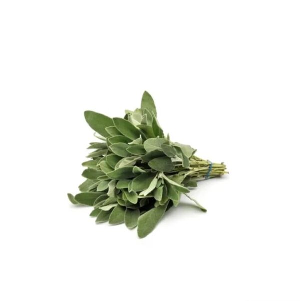 Sage