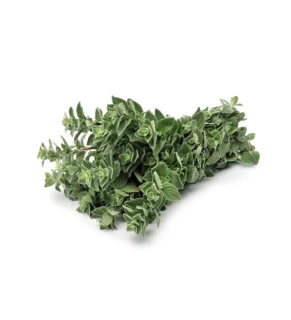 Oregano