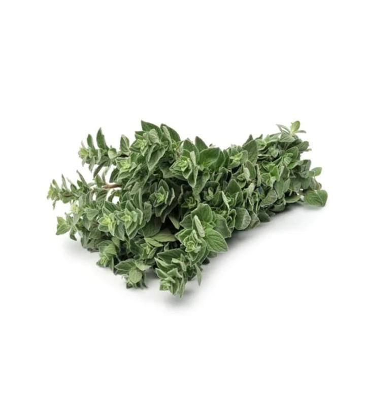 Oregano