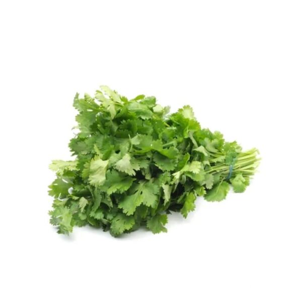 Coriander